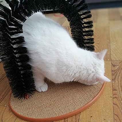 arc-de-jouet-chat-2-en-1-fouine