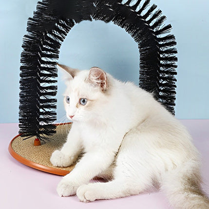 arc-de-jouet-chat-assis-sous-la-brosse