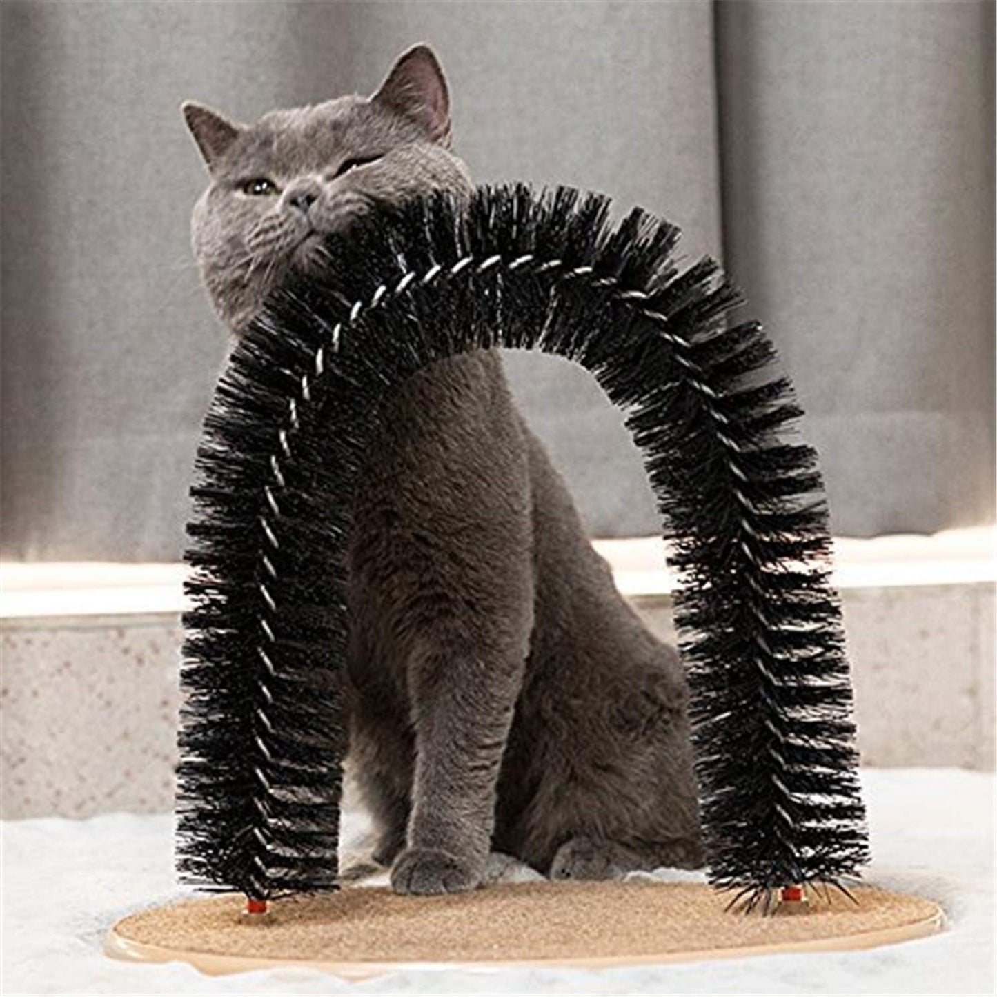arc-de-jouet-chat-frottage