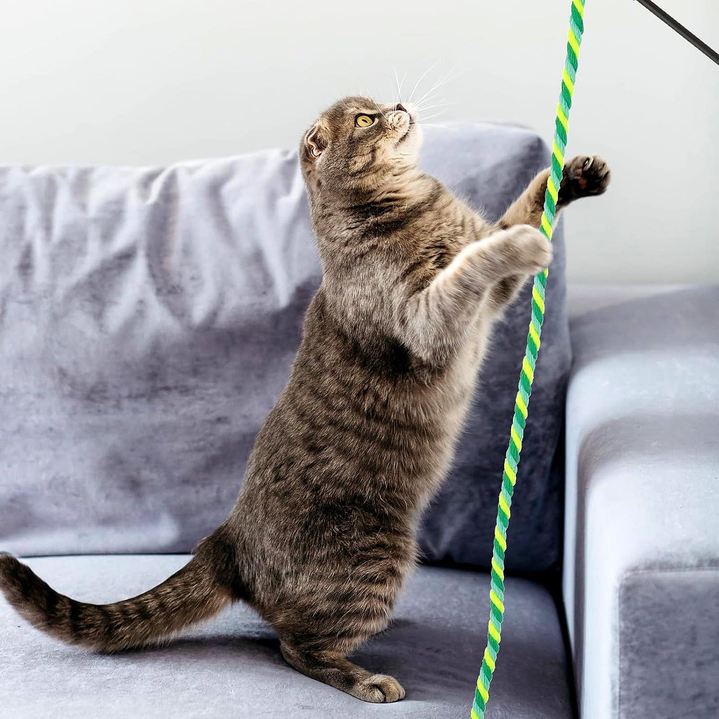 Baguette jouet pour chat - Chat Filou