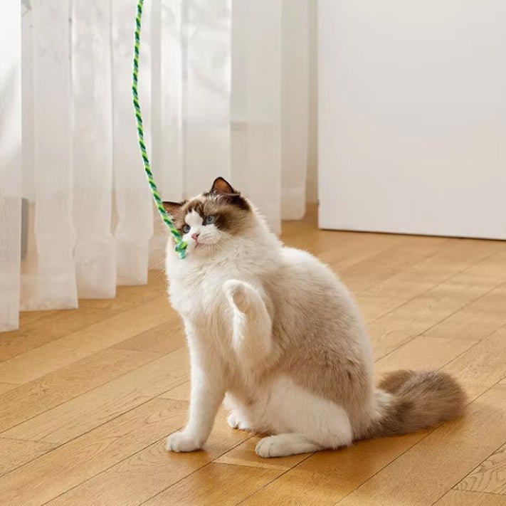 Baguette jouet pour chat - Chat Filou