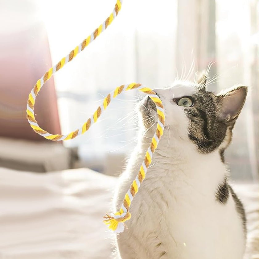 Baguette jouet pour chat - Chat Filou