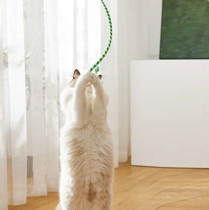 baguette-jouet-pour-chat-debout