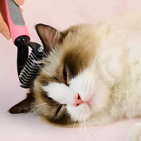 Brosse Ă chat double face