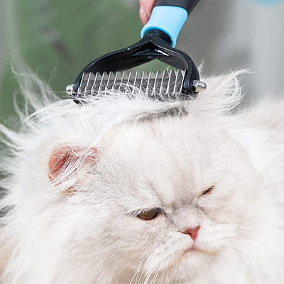 Brosse Ă chat double face