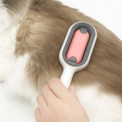 brosse-a-chat-multifonction-4-en-1-brosse-sur-dos