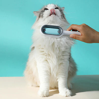 brosse-a-chat-multifonction-4-en-1-brosse-sur-le-ventre