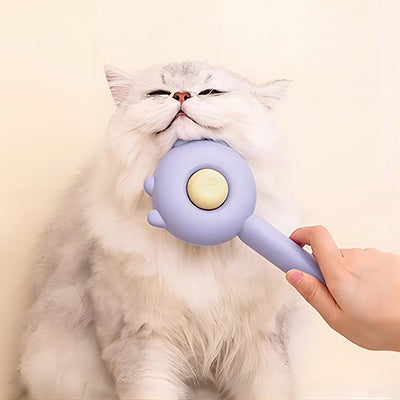 brosse-a-chat-nettoyante-domicile