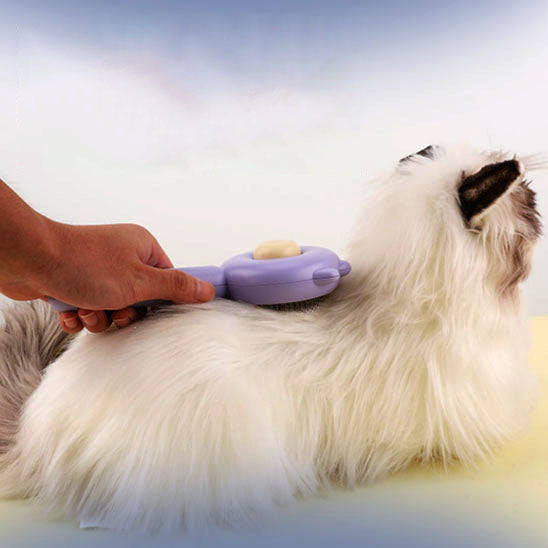 brosse-a-chat-nettoyante-poils-longs