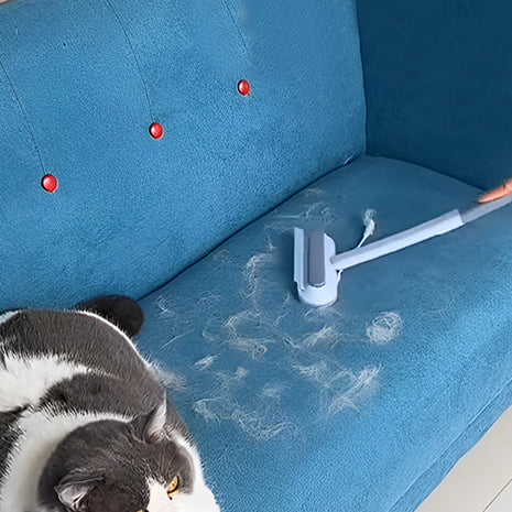 brosse-chat-attrape-poil-canape-nettoie