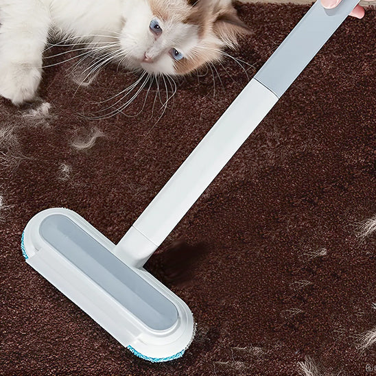brosse-chat-attrape-poil-tapis-brosse