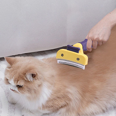 brosse-pour-chat-demelante-couverture-accueil