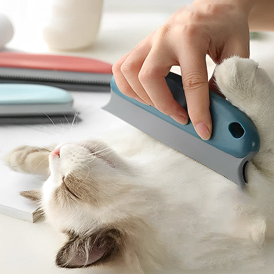 Brosse chat ramasse poils
