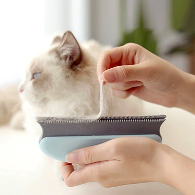 Brosse chat ramasse poils
