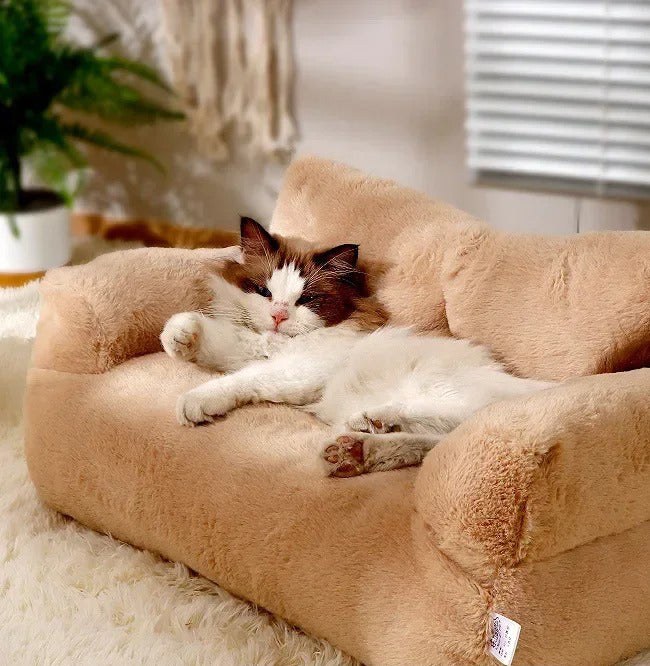 canape-pour-chat-etendu-de-tout-son-long