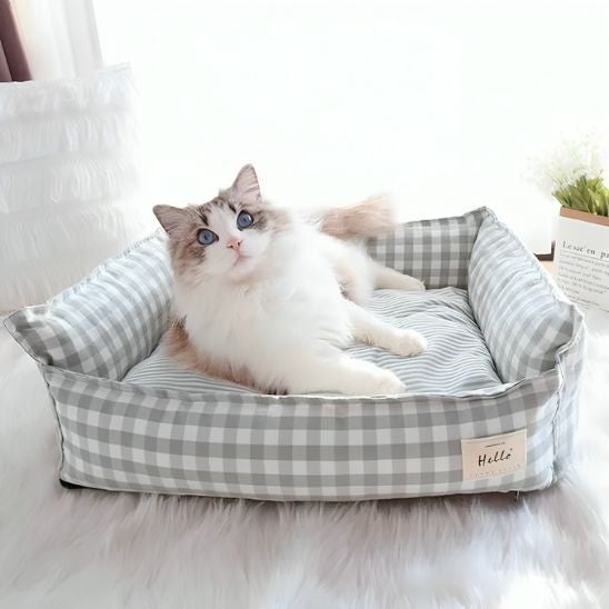 canape-pour-chat-vichy-surpris
