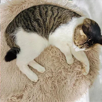 tapis-pour-chat-rond-allonger