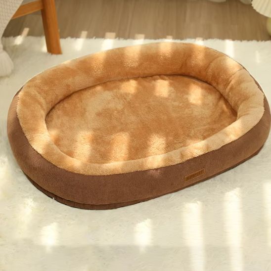 coussin-chat-douillet-vide