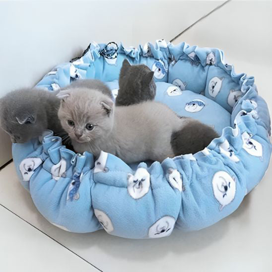 coussin-chat-rond-chaton-bis-bleu
