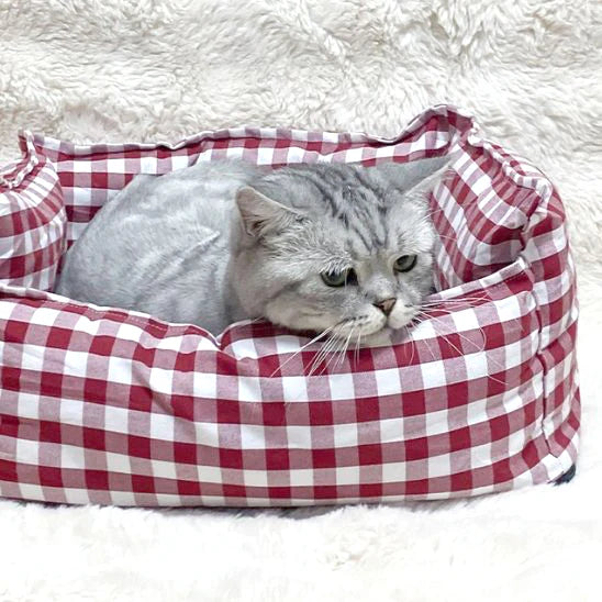 coussin-pour-chat-vichy-regard-la-tete-dehors