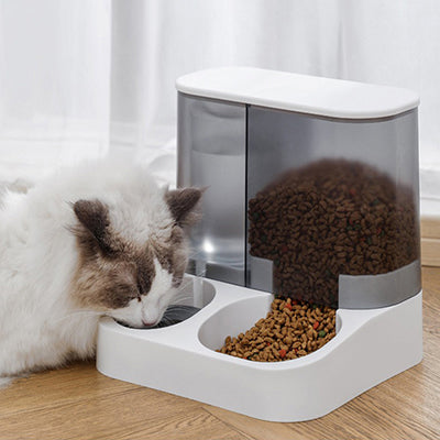 distributeur-de-croquettes-automatique-chat-boit-son-eau