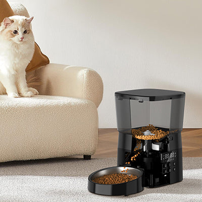 distributeur-de-croquettes-chat-automatique-assis