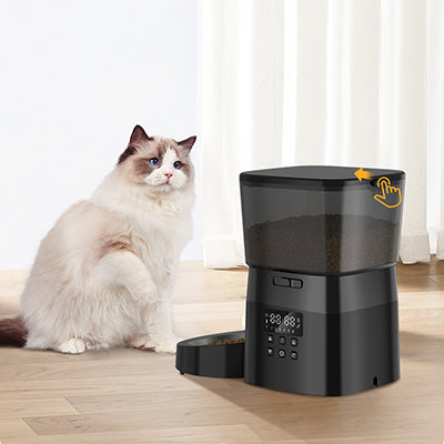 distributeur-de-croquettes-chat-automatique-patte