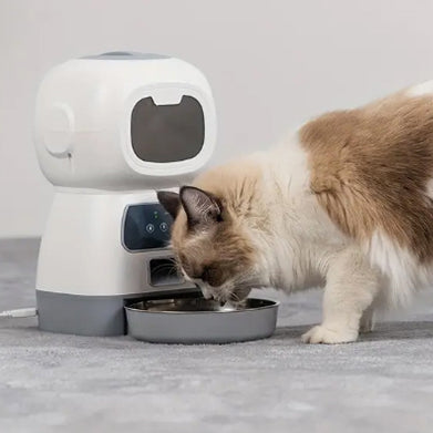 distributeur-de-croquettes-chat-connecte-deguste-son-repas