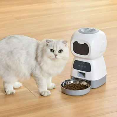 distributeur-de-croquettes-chat-connecteen-en-attente