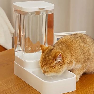 distributeur-de-croquettes-chat-transparent-abreuvoir