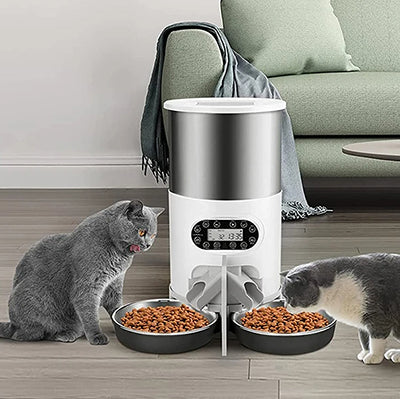 distributeur-de-croquettes-intelligent-deux-chats-qui-mangent