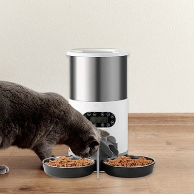 distributeur-de-croquettes-intelligent-un-chat-qui-mange