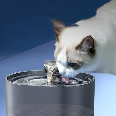fontaine-a-eau-chat-ultra-silencieuse-modele-fond-bleu