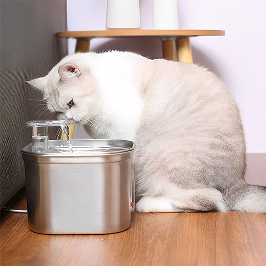 fontaine-a-eau-pour-chat-automatique-assis