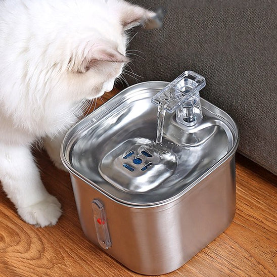 fontaine-a-eau-pour-chat-automatique-couverture