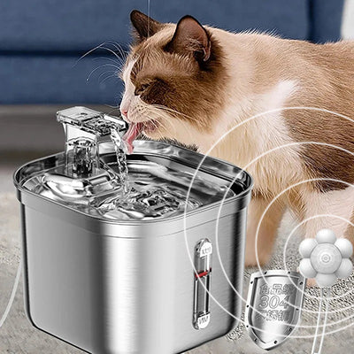 Fontaine Ă eau pour chat automatique