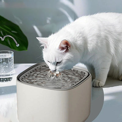 Fontaine Ă eau pour chat cascade