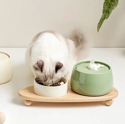 fontaine-a-eau-pour-chat-en-ceramique-decoration