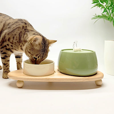 fontaine-a-eau-pour-chat-en-ceramique-deguste