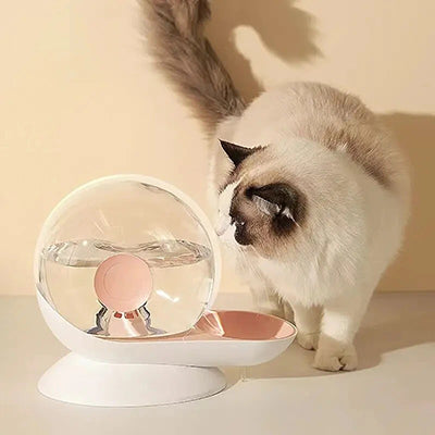 fontaine-eau-pour-chat-escargot-accueil