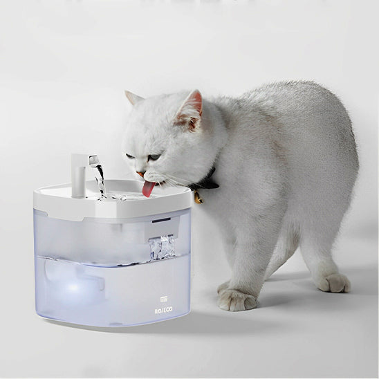 fontaine-eau-pour-chat-transparente-boit