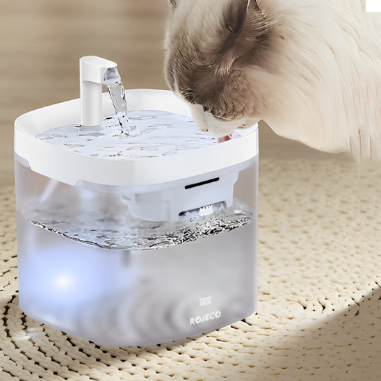 fontaine-eau-pour-chat-transparente-niveau-lumineux