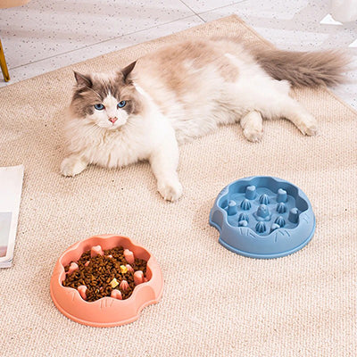 gamelle-anti-glouton-chat-coeur-et-cactus-allonger-devant-gamelle