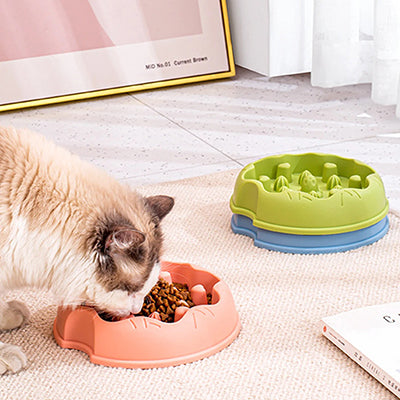 gamelle-anti-glouton-chat-coeur-et-cactus-deguste-couverture