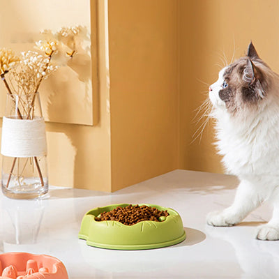 gamelle-anti-glouton-chat-coeur-et-cactus-gamelle-remplissage