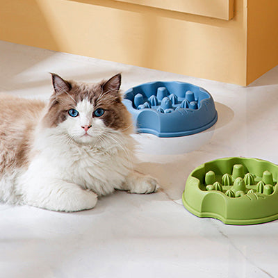 gamelle-anti-glouton-chat-coeur-et-cactus-gamelle-sur-sol