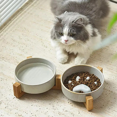 gamelle-anti-glouton-chat-double-bol-coucher-devant
