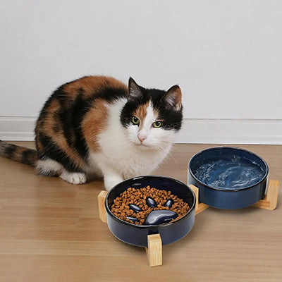 gamelle-anti-glouton-chat-double-bol-croquettes-et-eau