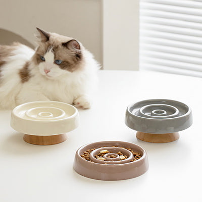 gamelle-anti-glouton-chat-en-ceramique-couverture
