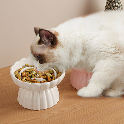gamelle-anti-glouton-chat-en-forme-de-fleur-couverture